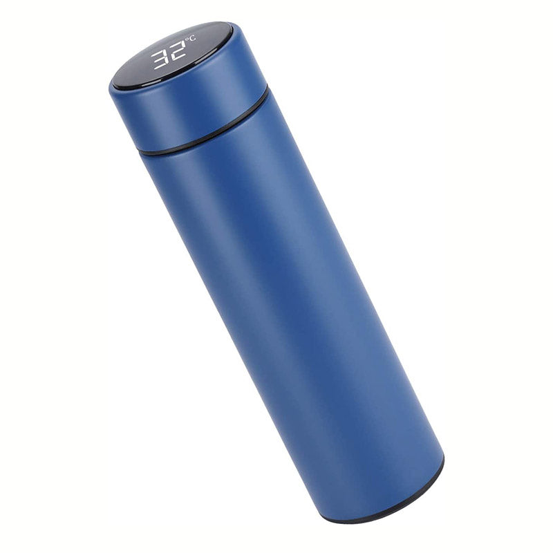 Temperature Display Insulated Water Bottle